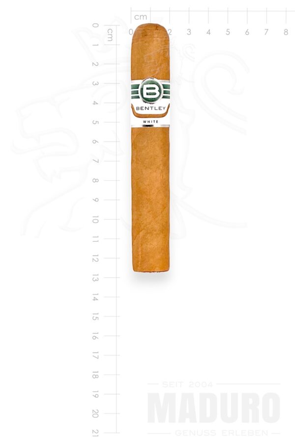 Zigarre Bentley - White - Robusto