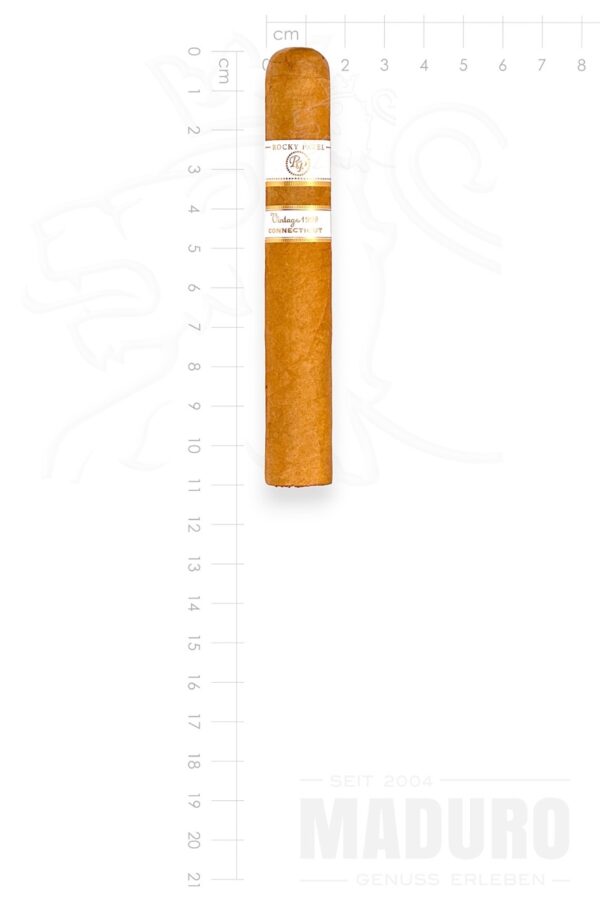 Zigarre Rocky Patel - Vintage 1999 - Petit Corona