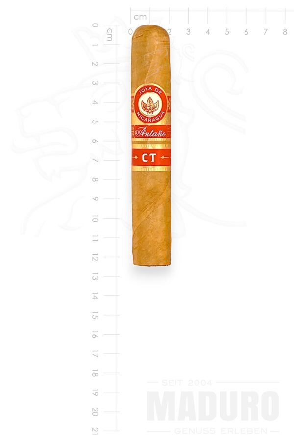 Zigarre Joya de Nicaragua Antano CT - Robusto