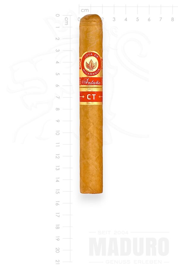 Zigarre Joya de Nicaragua Antano CT - Toro