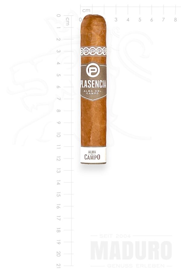 Zigarre Plasencia Alma del Campo - Tribu-Robusto