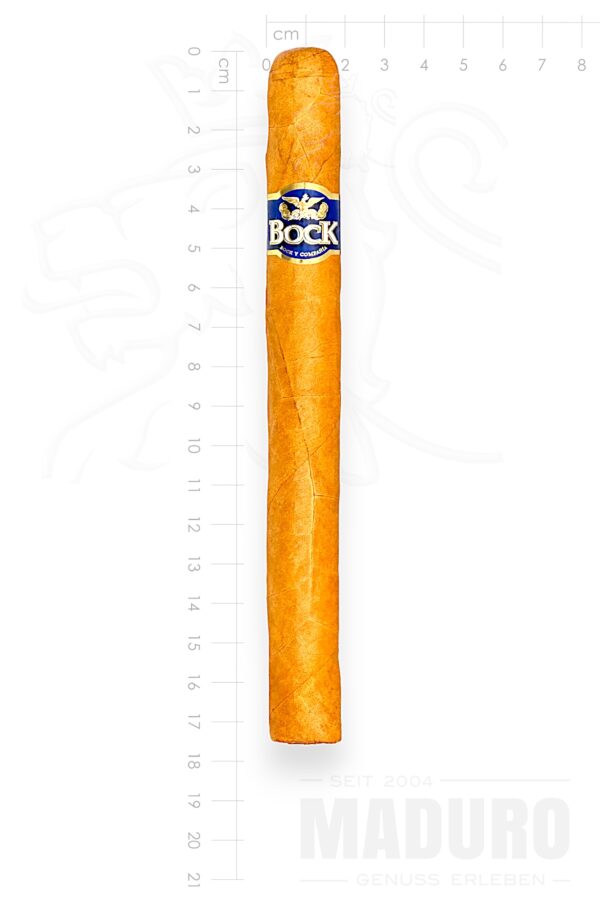 Zigarre Bock - Chruchill