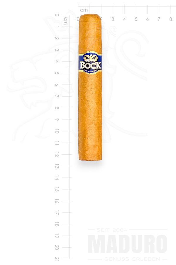 Zigarre Bock - Robusto