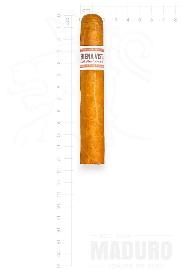 Zigarre Buena Vista - Robusto