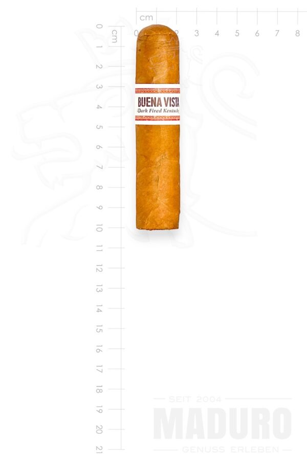 Zigarre Buena Vista - Short Robusto