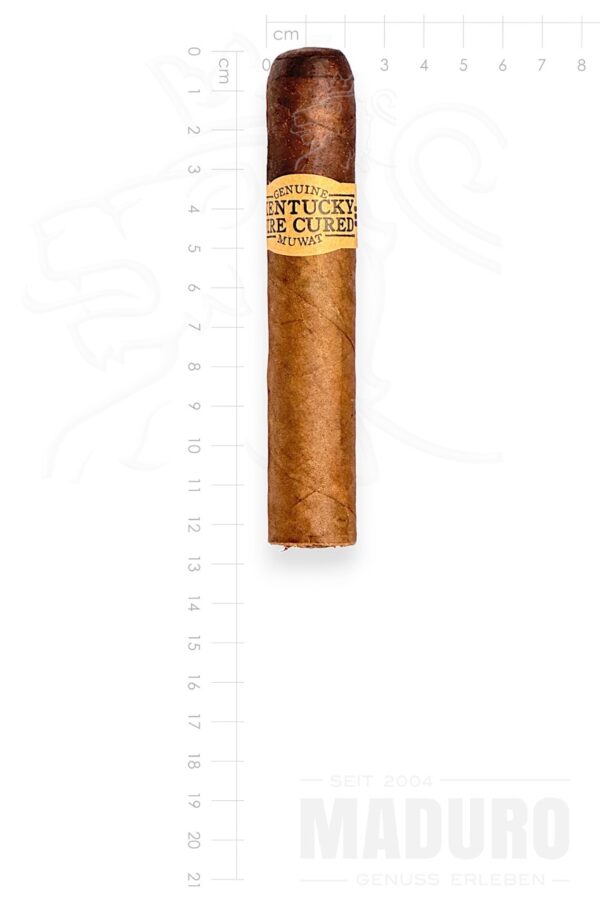 Zigarre Kentucky Fire Cured - Fat Molly