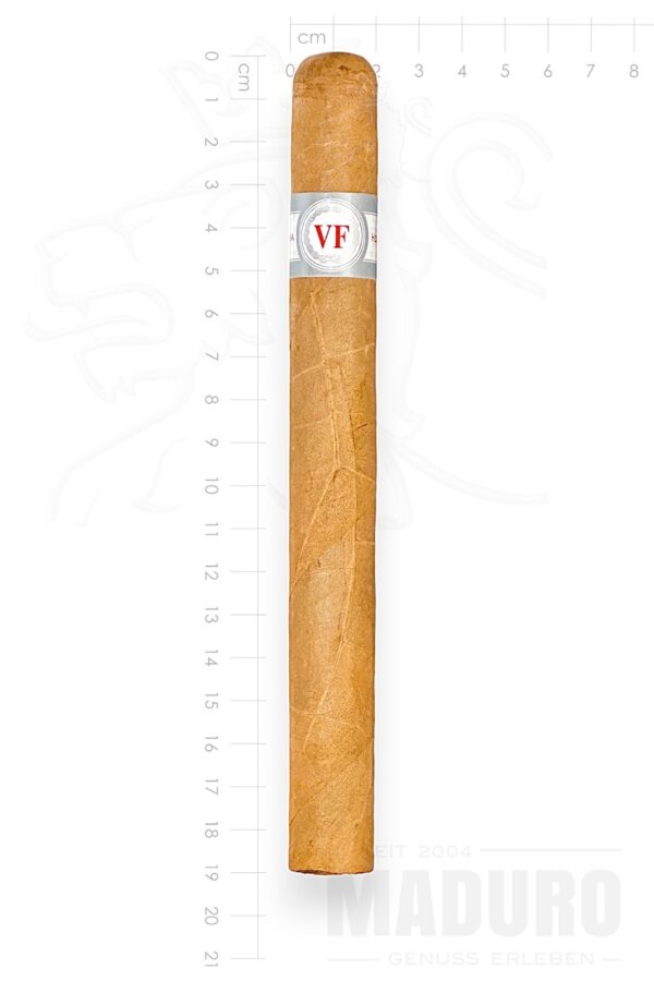 Zigarre Vega Fina - Prominentes
