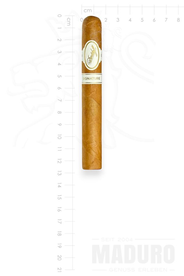 Zigarre Davidoff Signature 2000