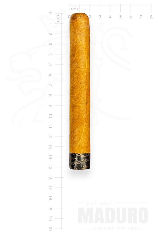 Zigarre Rocky Patel the Edge Connecticut - Toro