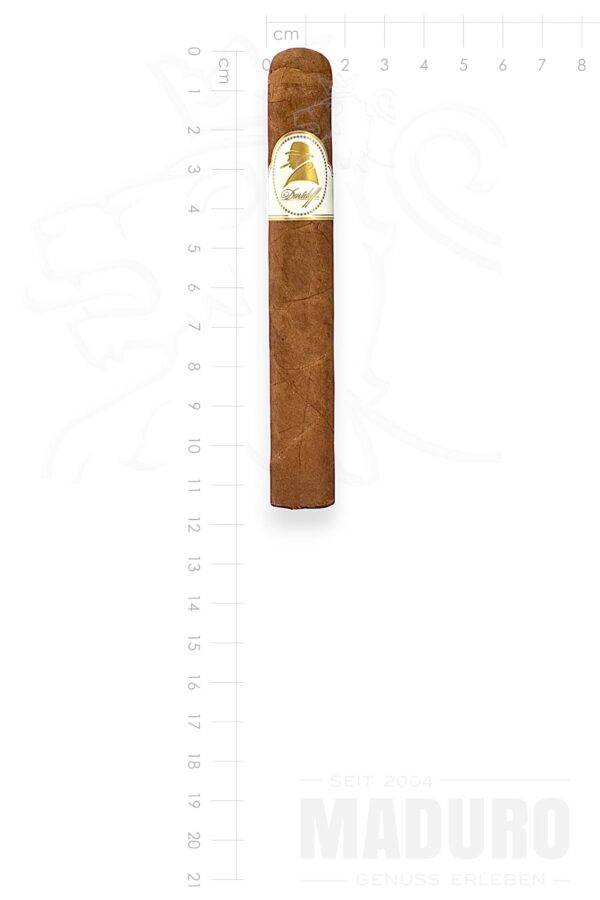 zigarre-davidoff-winston-churchill-petit-corona-maduro